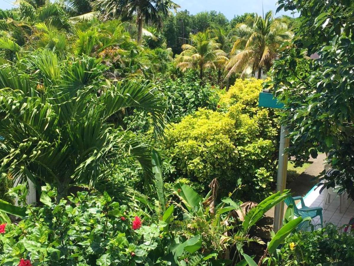 Maison D'une Avec Vue Sur La Piscine Partagee Et Jardin Clos A Rose Hébergement de vacances Sainte-Rose